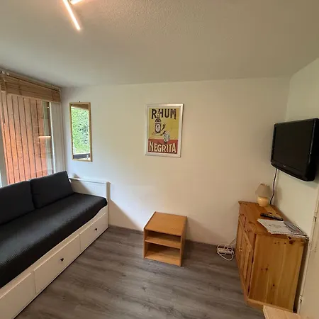 Studio Cabine 4 Pers Avec Balcon Aux Adrets-Prapoutel * Les Adrets