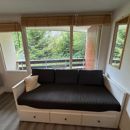 Studio cabine avec balcon et équipements pratiques - FR-1-557-54 Les Adrets