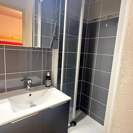 Apartment Studio Cabine 4 Pers Avec Balcon Aux Adrets-Prapoutel Les Adrets